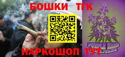 индика Рыбинск