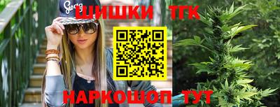 индика Рыбинск