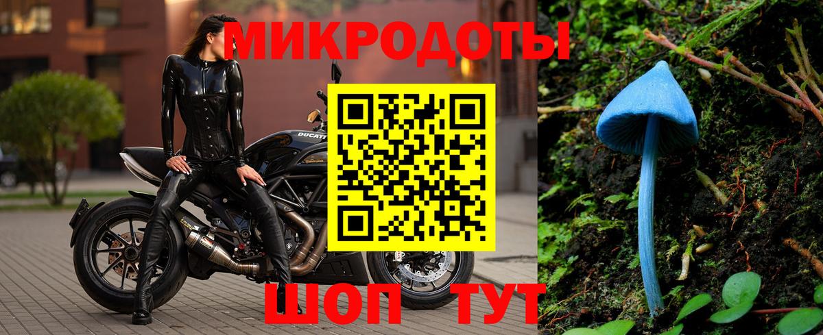 Псилоцибиновые грибы мицелий Оренбург